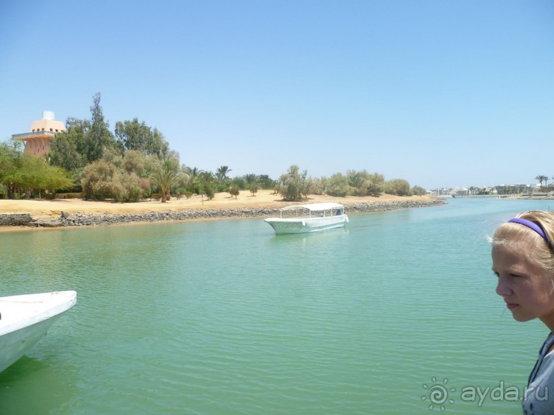 фото Bamboo Grove