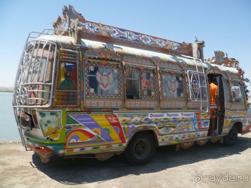 фото Bamboo Grove