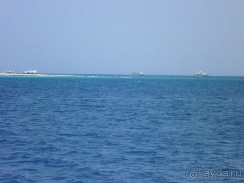 фото Bamboo Grove