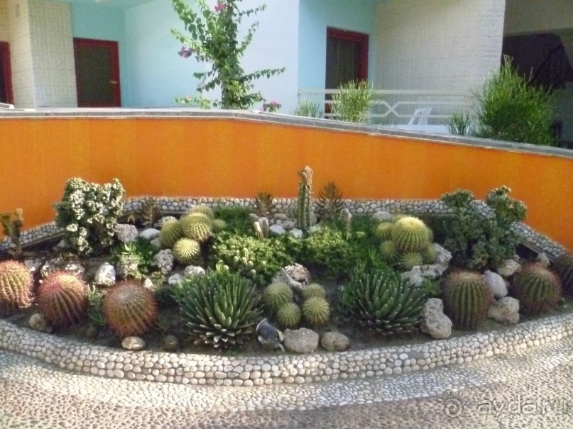 фото Bamboo Grove