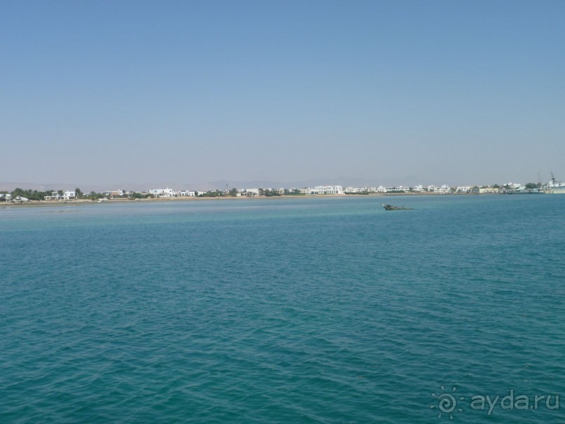 фото Bamboo Grove