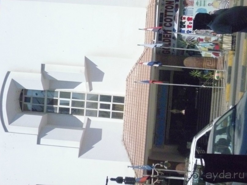 фото Bamboo Grove