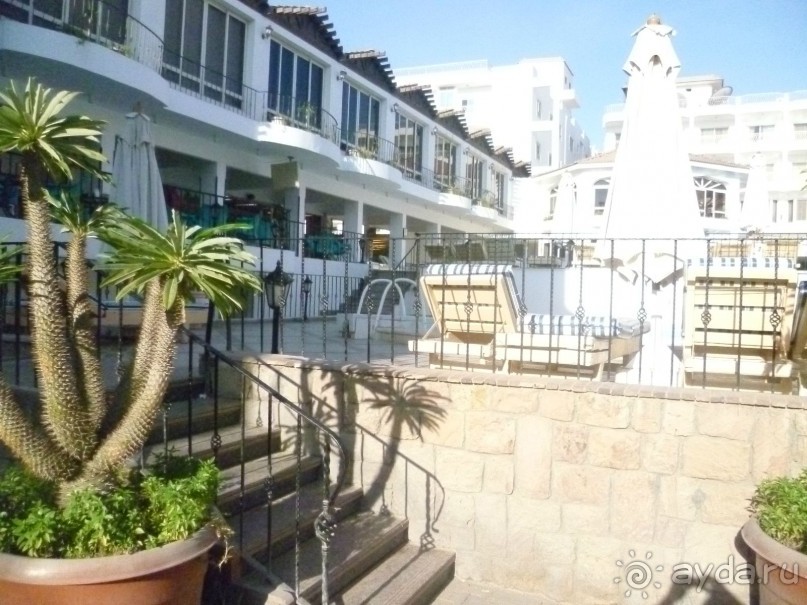 фото Bamboo Grove