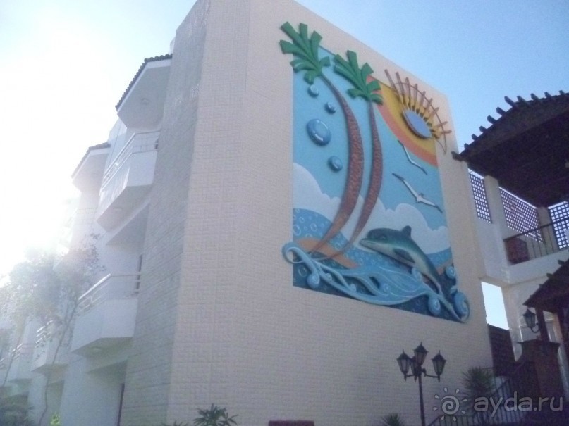 фото Bamboo Grove