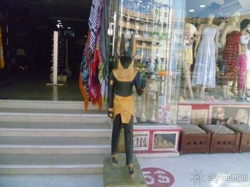 фото Bamboo Grove