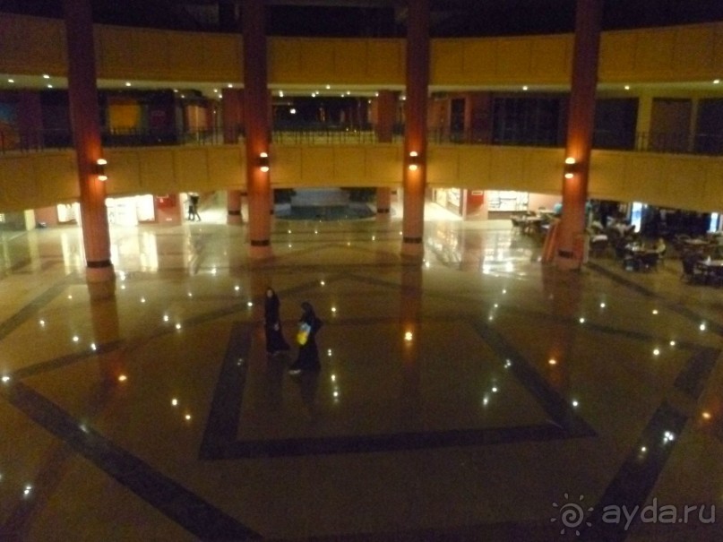 фото Bamboo Grove