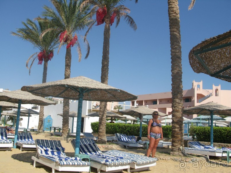 фото Bamboo Grove