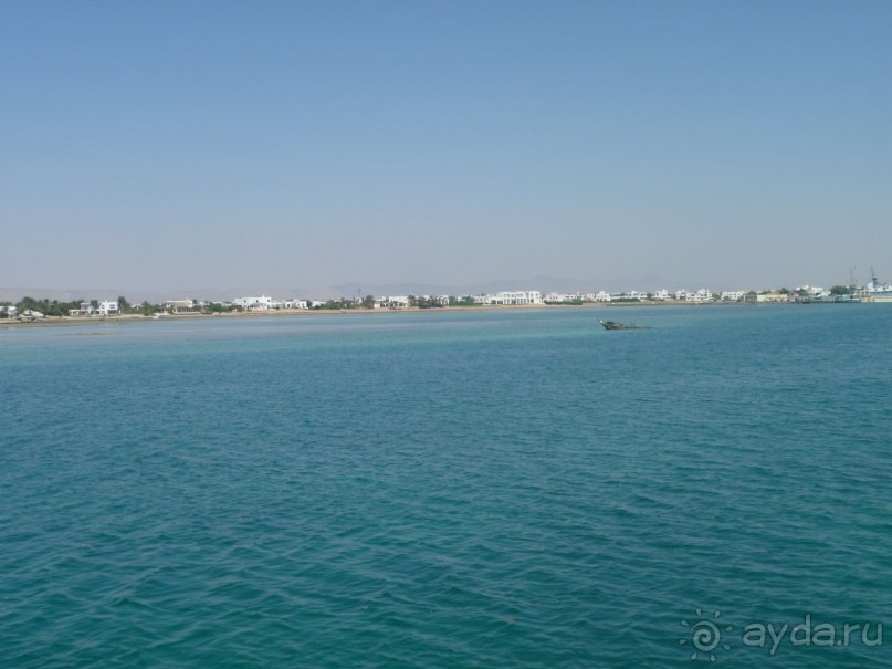 фото Bamboo Grove