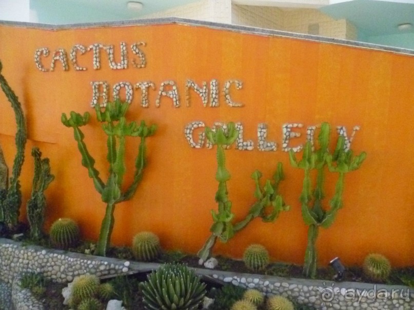 фото Bamboo Grove