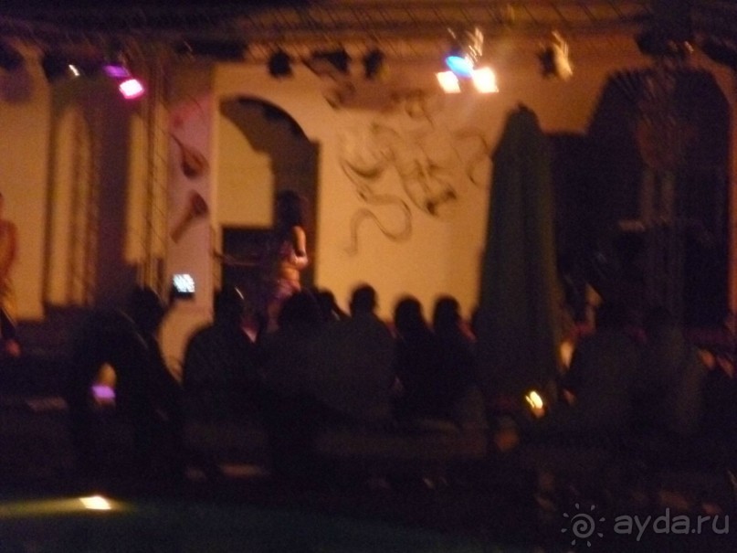 фото Bamboo Grove