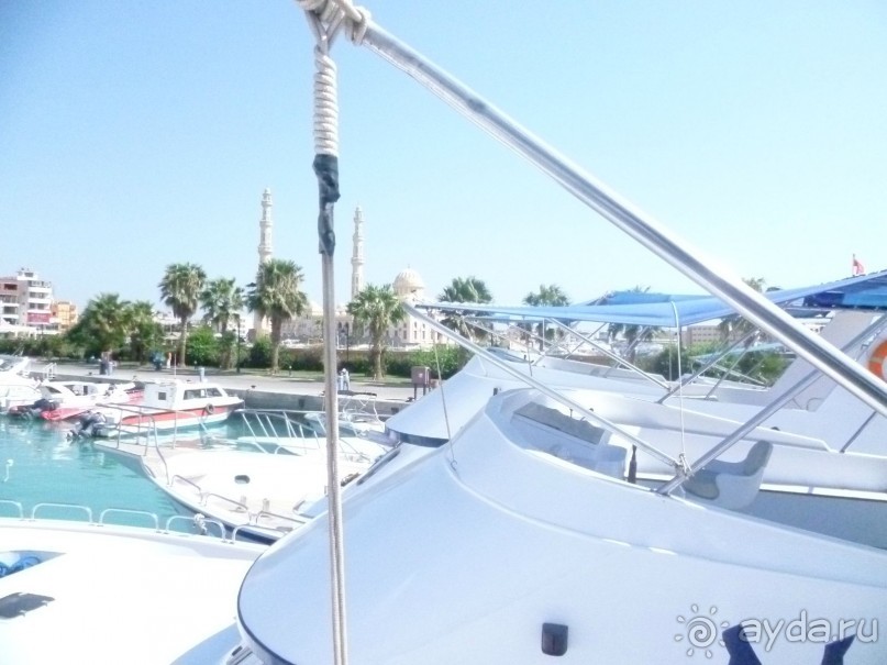 фото Bamboo Grove