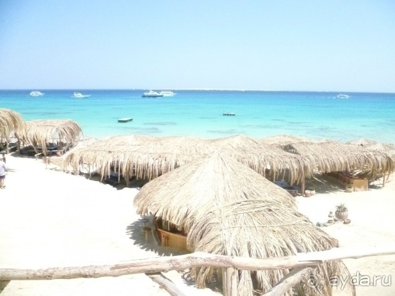 фото Bamboo Grove