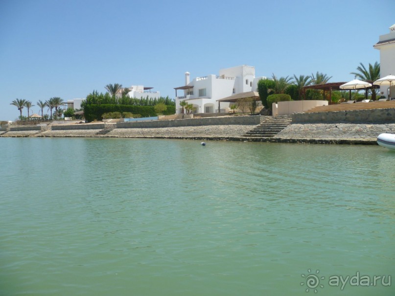 фото Bamboo Grove