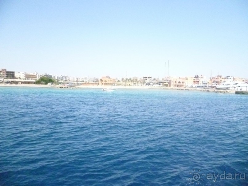 фото Bamboo Grove