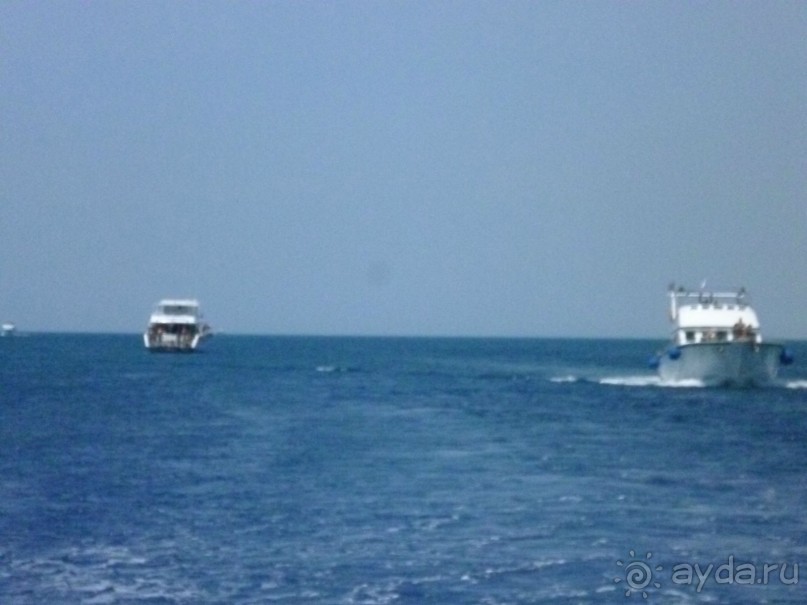 фото Bamboo Grove