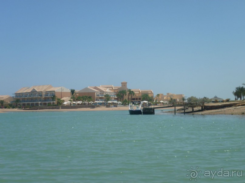 фото Bamboo Grove