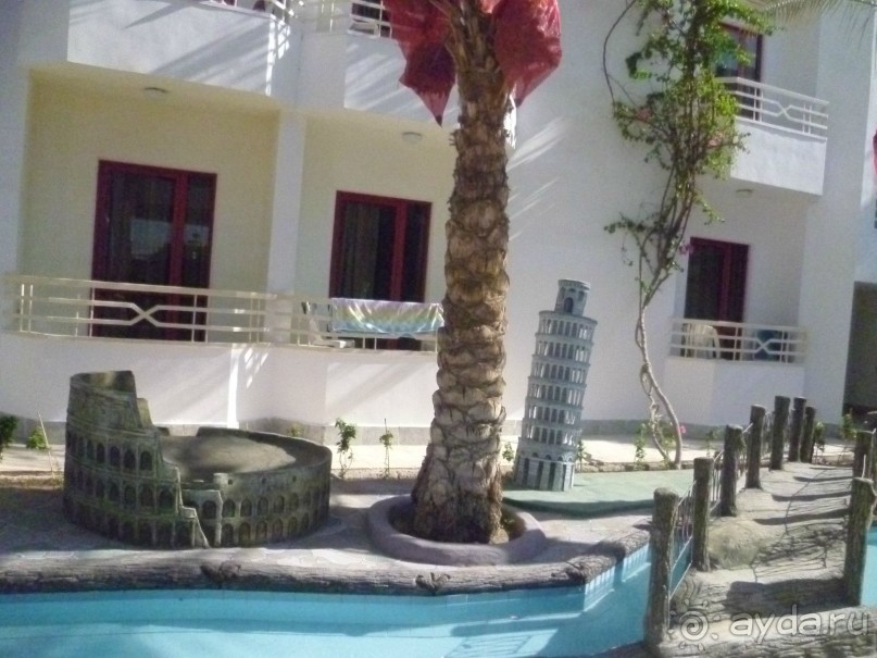 фото Bamboo Grove