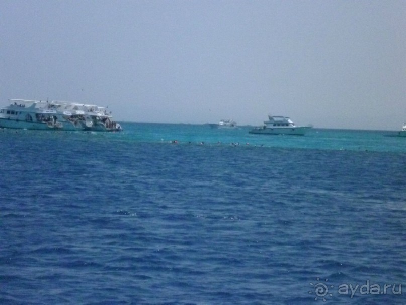 фото Bamboo Grove