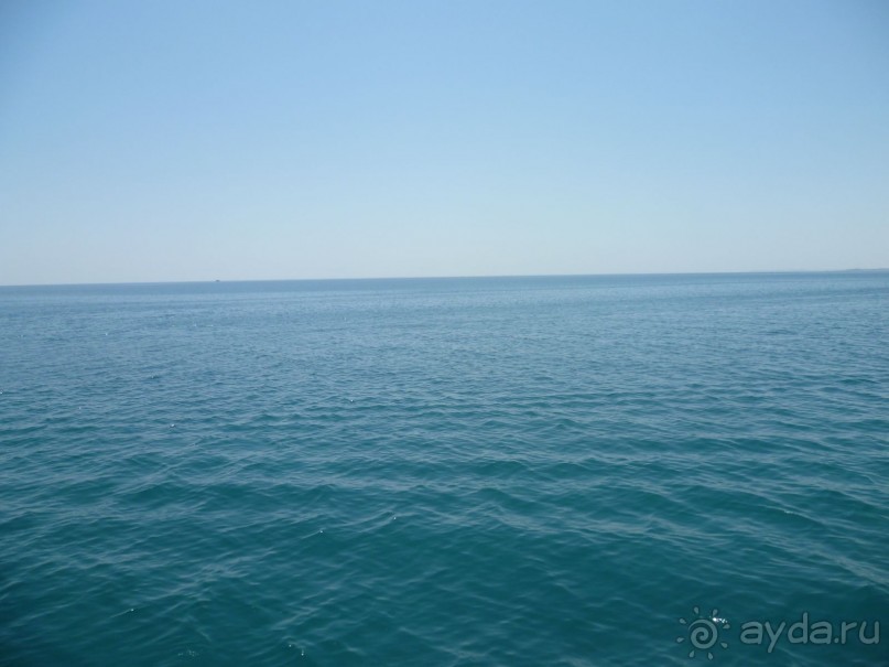 фото Bamboo Grove