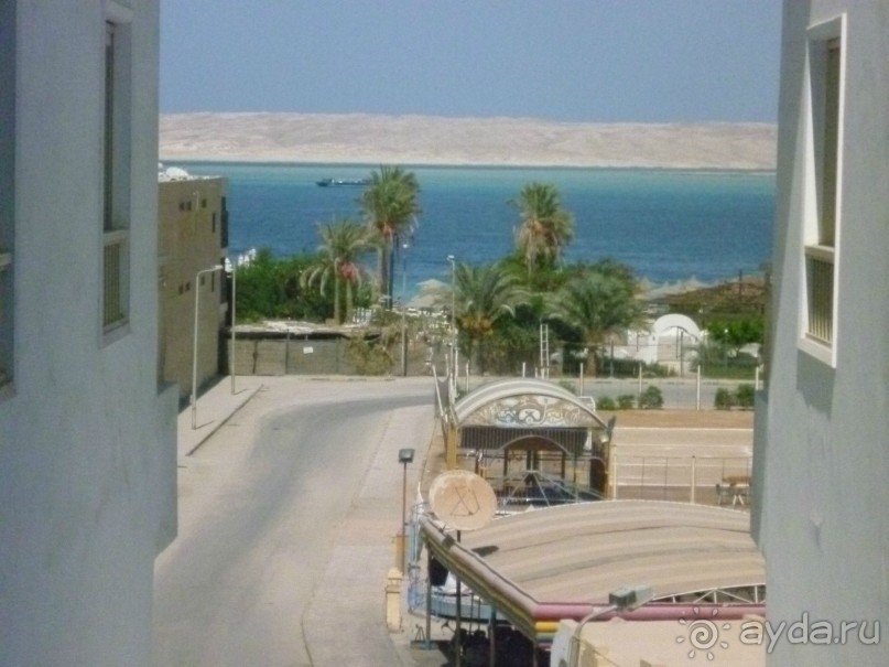 фото Bamboo Grove