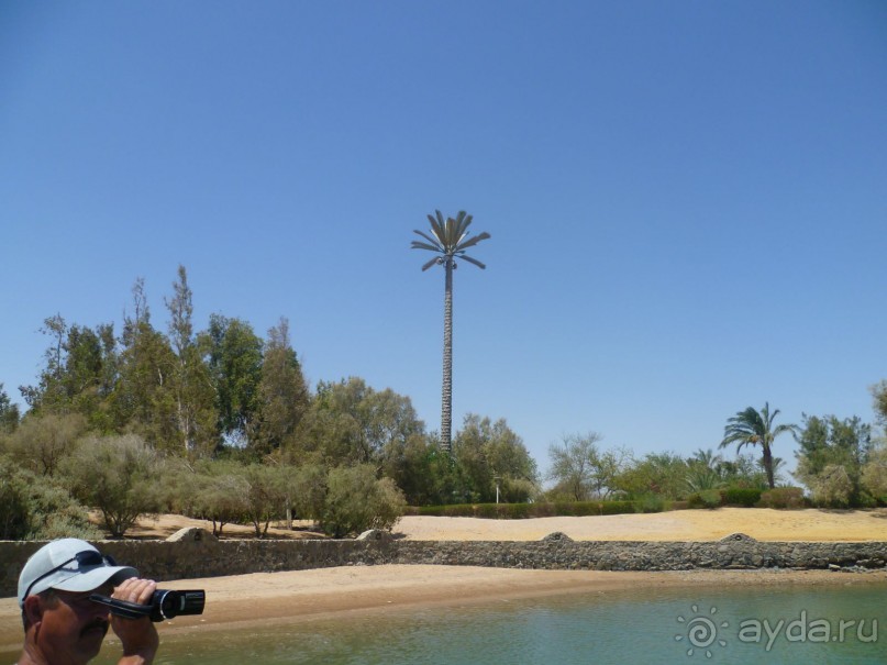фото Bamboo Grove