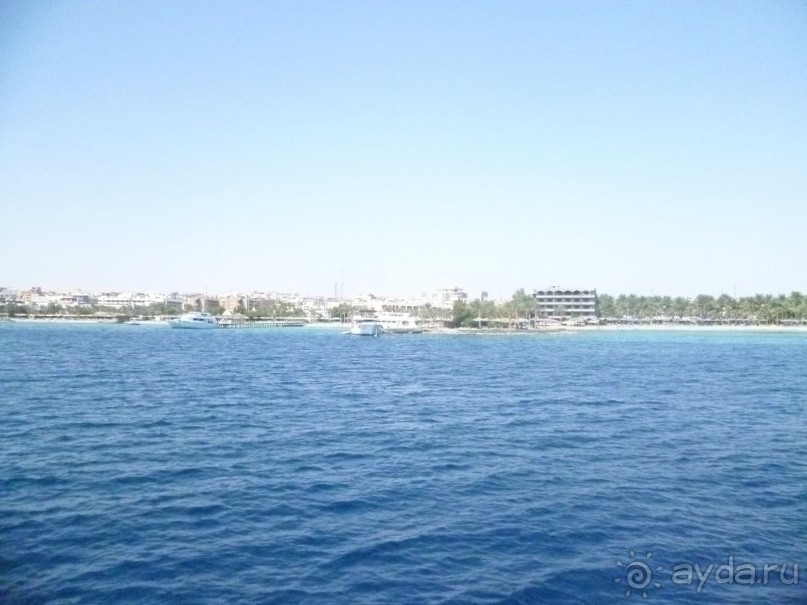 фото Bamboo Grove