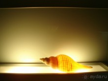 Мини гостиница ГаспраВип для респектабельного и спокойного отдыха