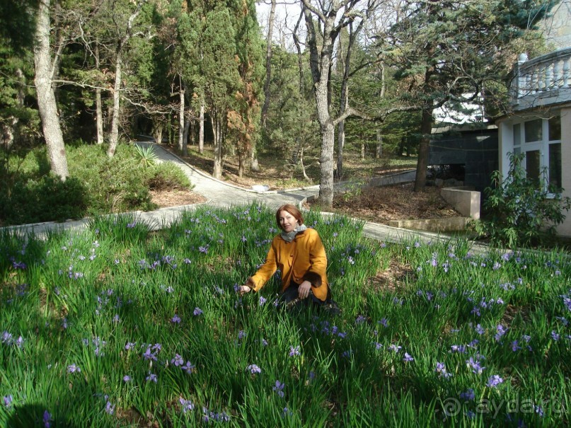 Мини гостиница ГаспраВип для респектабельного и спокойного отдыха