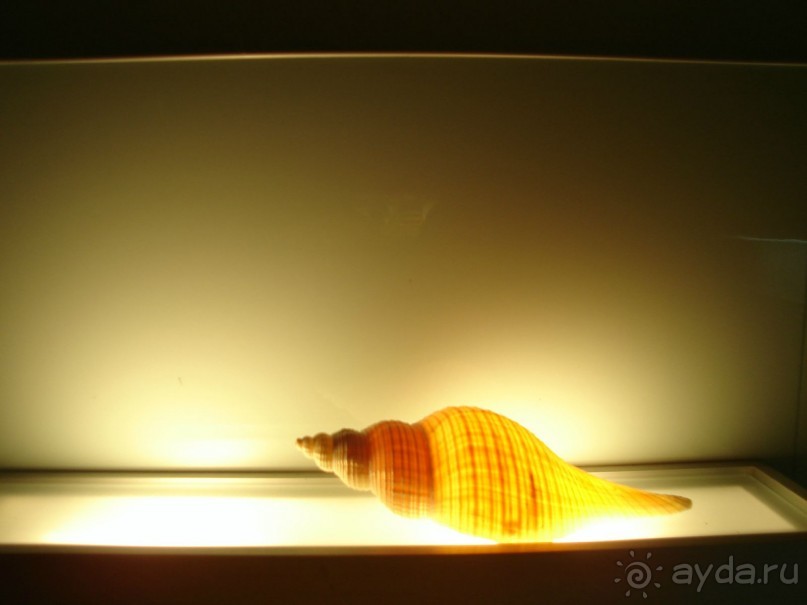 Мини гостиница ГаспраВип для респектабельного и спокойного отдыха