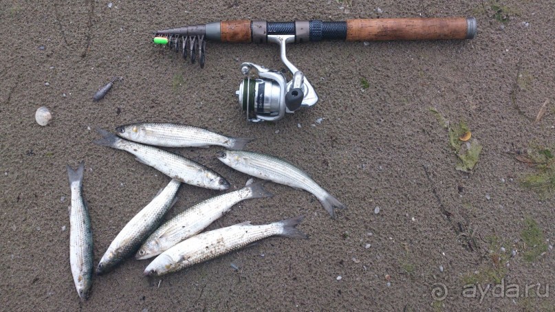 Созополь. Приморско. Болгария. Рыбалка 