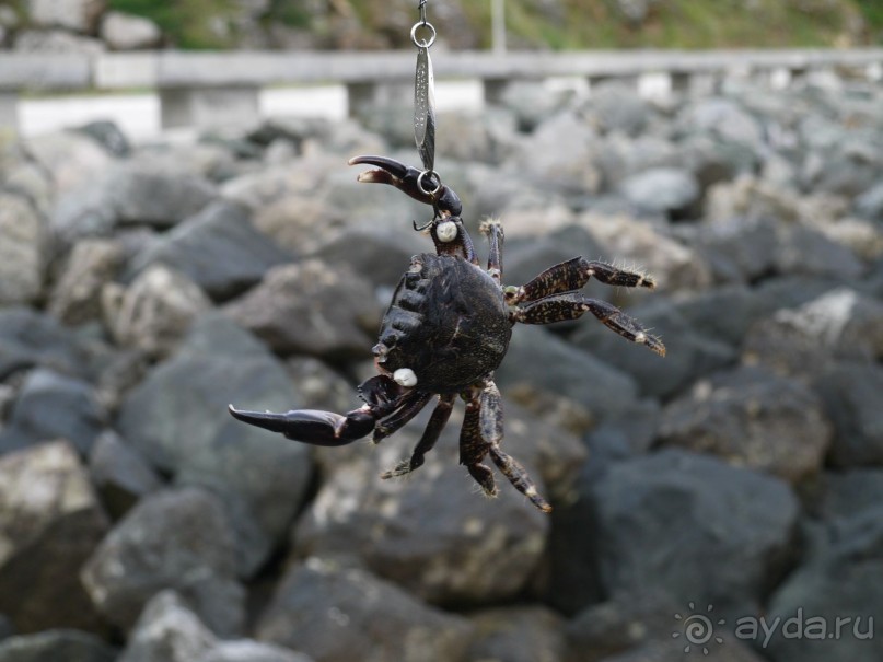 Созополь. Приморско. Болгария. Рыбалка 