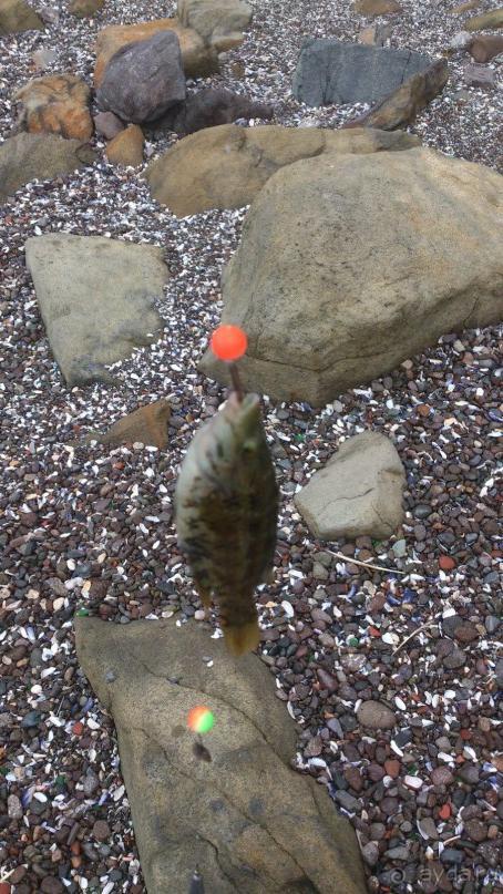 Созополь. Приморско. Болгария. Рыбалка 