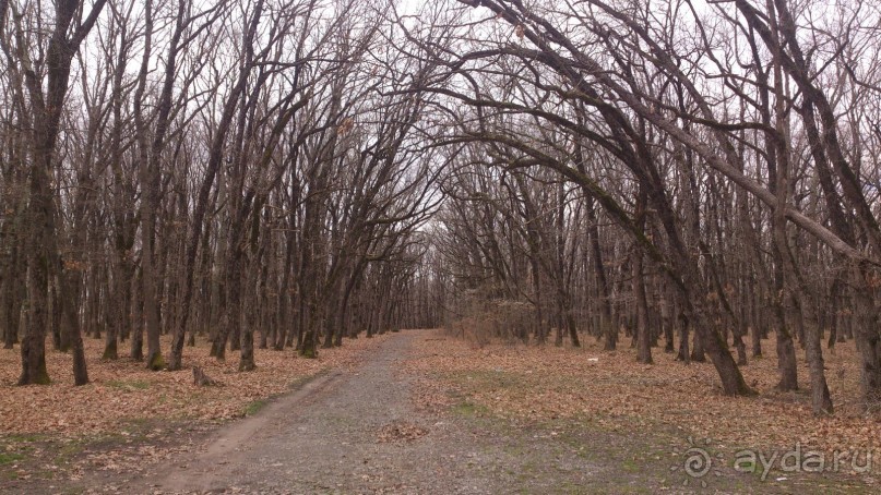 Болгария в марте 16-го. Приморско. Из зимы в весну.