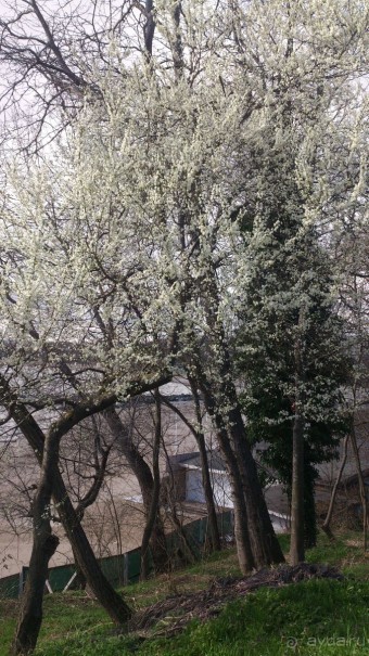 Болгария в марте 16-го. Приморско. Из зимы в весну.