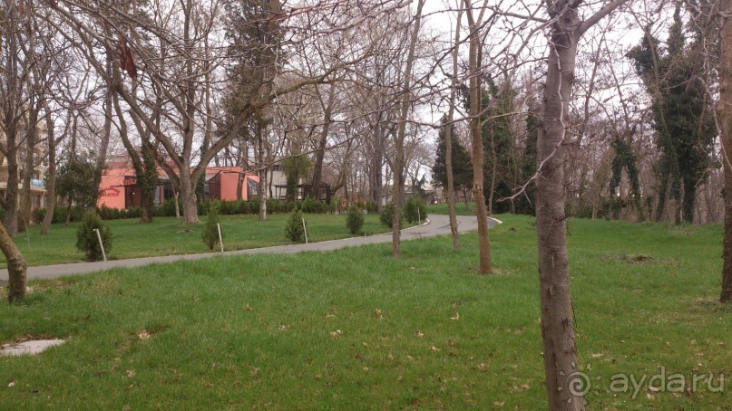 Болгария в марте 16-го. Приморско. Из зимы в весну.