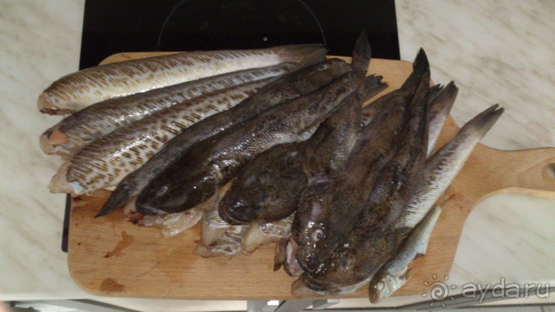 Морской дракончик и попче. Будем жарить.