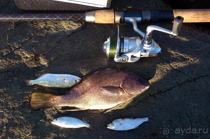 Рыбалка в Болгарии.