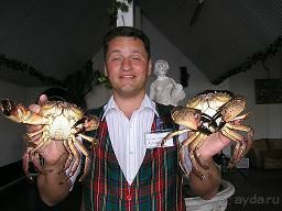 Черноморские крабы