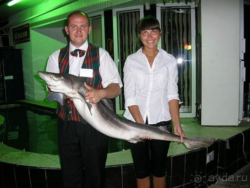 Частное домовладение "Максим"