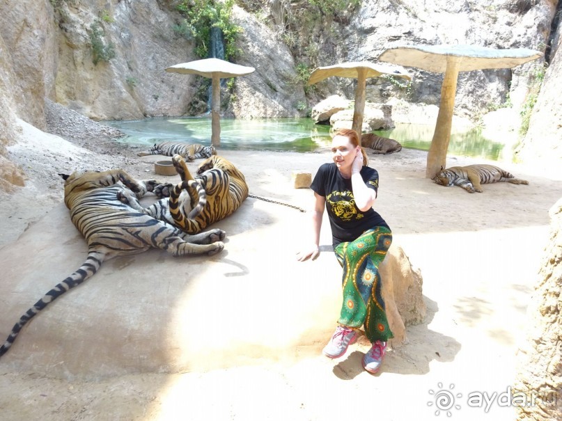 Впервые оказались в Таиланде