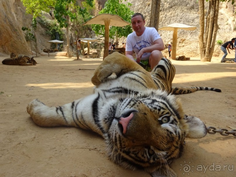 Впервые оказались в Таиланде