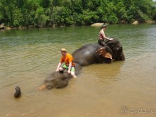 Впервые оказались в Таиланде