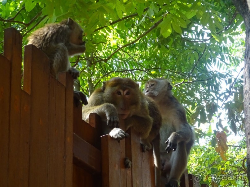 Впервые оказались в Таиланде