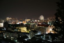 спокойный,зеленый