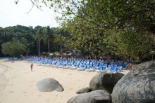 фото Royal Crown