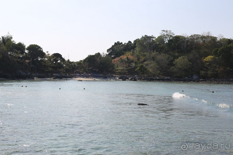 спокойный,зеленый