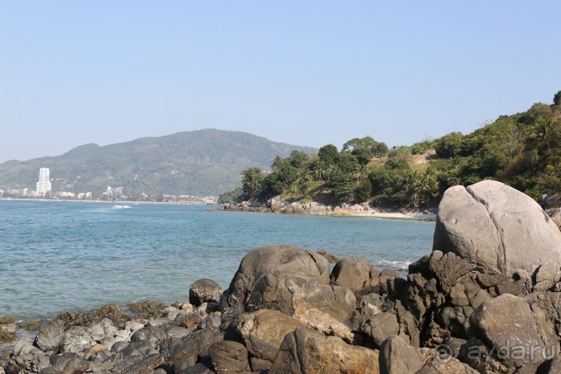 спокойный,зеленый