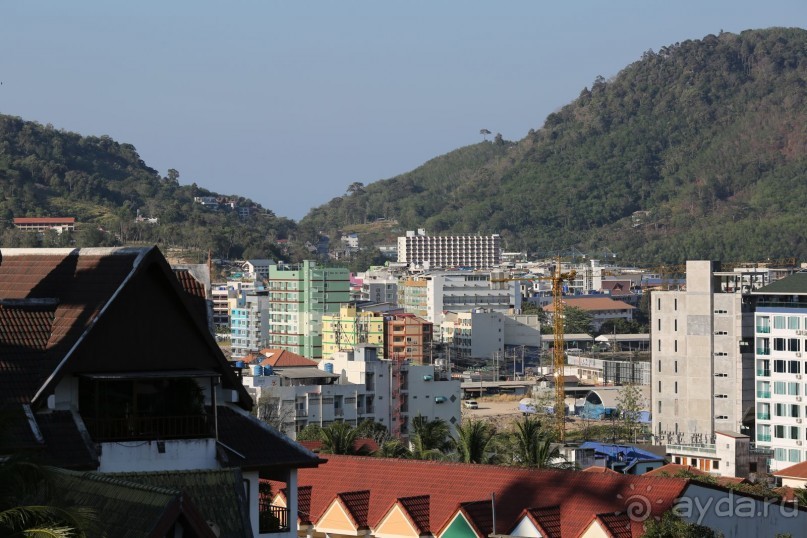 спокойный,зеленый