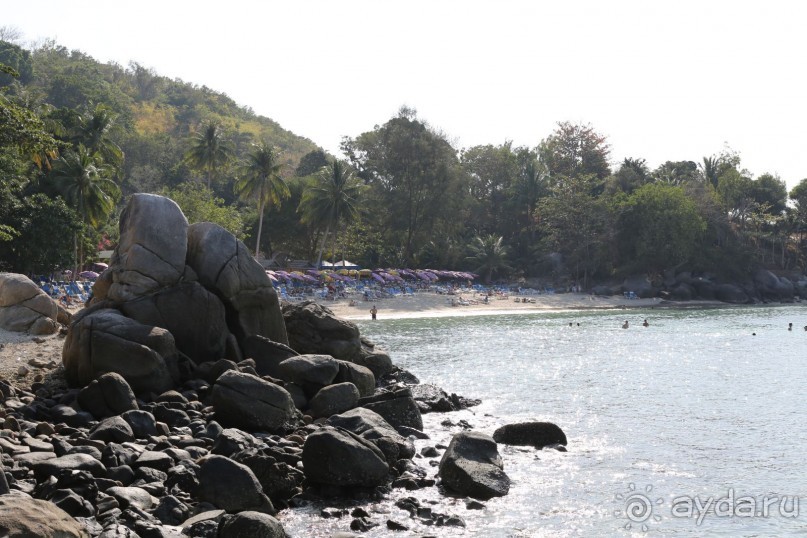 спокойный,зеленый