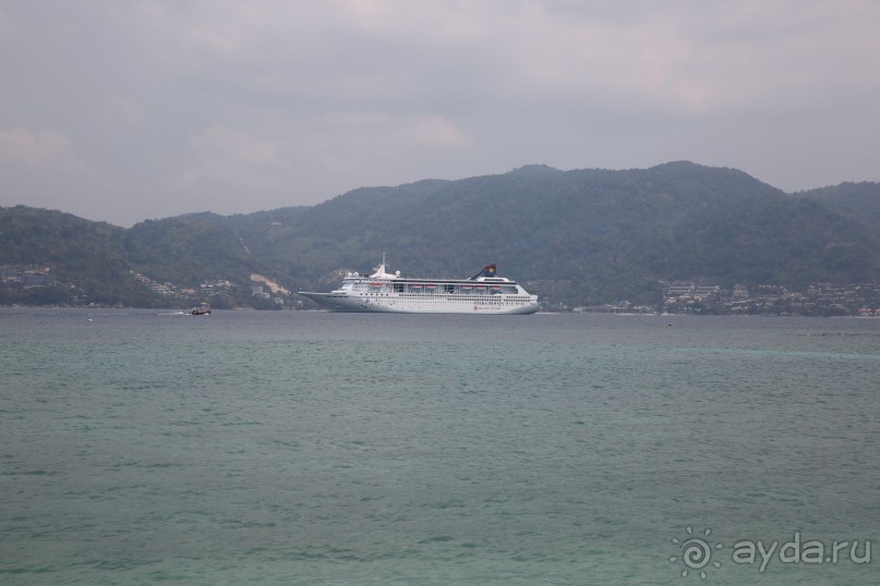 спокойный,зеленый